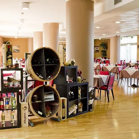Airporthotel Verona Congress & Relax Hotel Dossobuono